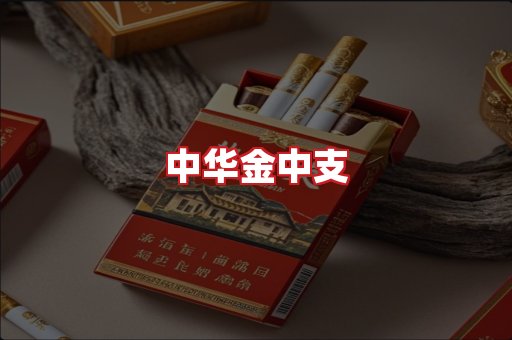 中华金中支